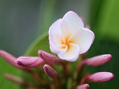 2384885434_3d8a2d397b_m