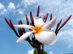 521671701_f621bccdf9_b