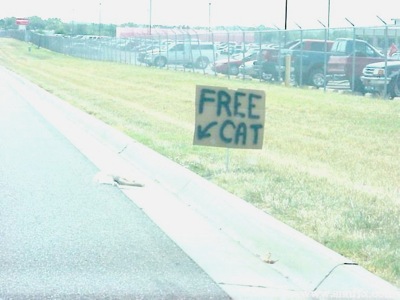freecat